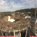 10_20-nest.jpg