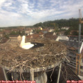 10_25-nest.jpg
