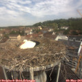 10_40-nest.jpg