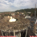 10_45-nest.jpg