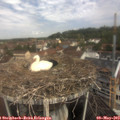 10_50-nest.jpg