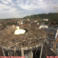 10_55-nest.jpg