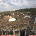 11_00-nest.jpg