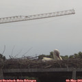 11_05-mast.jpg