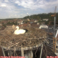 11_05-nest.jpg