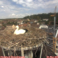 11_10-nest.jpg
