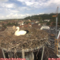11_15-nest.jpg