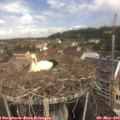 11_20-nest.jpg