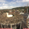 11_25-nest.jpg