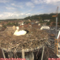 11_30-nest.jpg