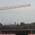 11_40-mast.jpg