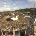 11_40-nest.jpg
