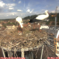 12_00-nest.jpg