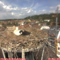 12_10-nest.jpg