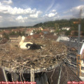 12_15-nest.jpg