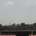 12_50-mast.jpg