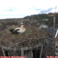 12_55-nest.jpg
