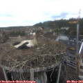13_00-nest.jpg