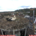 13_10-nest.jpg