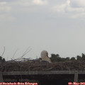 13_20-mast.jpg