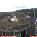 13_25-nest.jpg