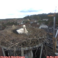 13_30-nest.jpg
