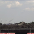 13_40-mast.jpg