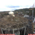 13_45-nest.jpg