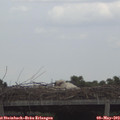 14_00-mast.jpg