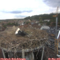 14_00-nest.jpg