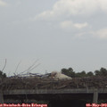 14_05-mast.jpg