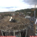 14_05-nest.jpg