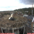 14_10-nest.jpg