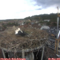 14_20-nest.jpg