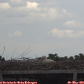 14_25-mast.jpg