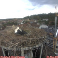 14_25-nest.jpg