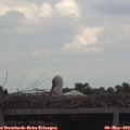 14_35-mast.jpg