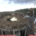 14_45-nest.jpg