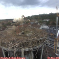 14_55-nest.jpg