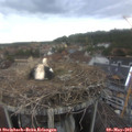 15_00-nest.jpg