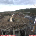 15_05-nest.jpg