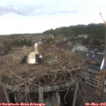 15_15-nest.jpg