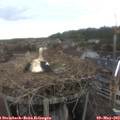 15_25-nest.jpg
