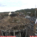 15_30-nest.jpg