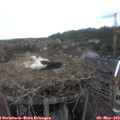 15_55-nest.jpg
