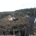16_10-nest.jpg