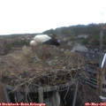 16_35-nest.jpg