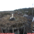 16_45-nest.jpg