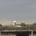 16_55-mast.jpg