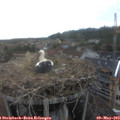 16_55-nest.jpg
